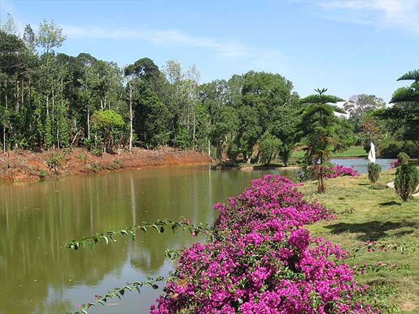 ബൊട്ടാണിക്കൽ ഗാർഡൻ