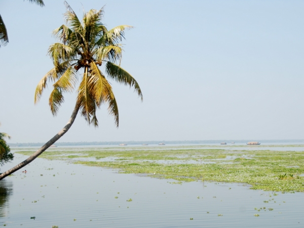 വേമ്പനാട്ടു കായല്
