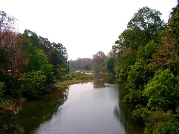 ഗ്രാമീണത നിറഞ്ഞു നില്ക്കുന്ന വഴി