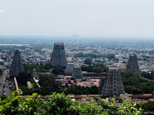 അണ്ണാമലെയാര് ക്ഷേത്രം