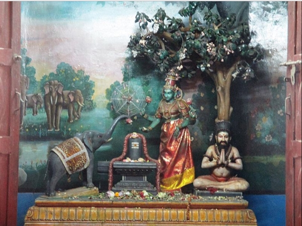 ആനയും ചിലന്തിയും