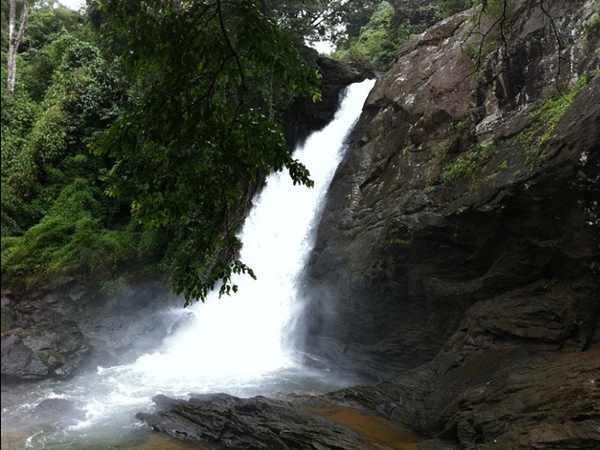 സൂചിപ്പാറ വെള്ളച്ചാട്ടം