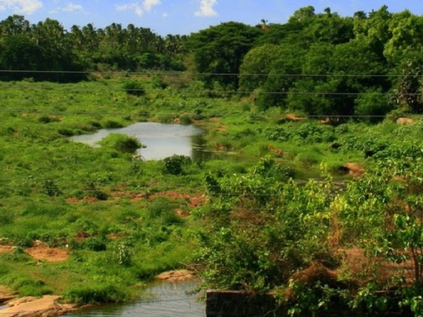 പാലൂര് മഹാദേവ ക്ഷേത്രം