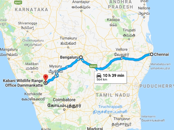 റൂട്ട്