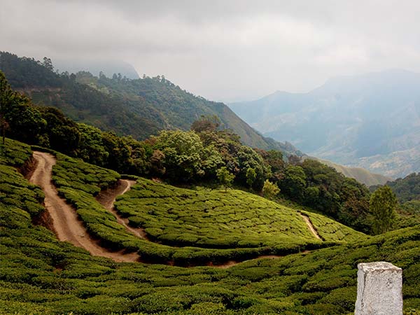 അന്തിമ ലക്ഷ്യസ്ഥാനം - മൂന്നാർ
