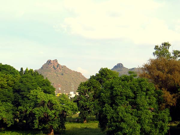 വെല്ലൂർ