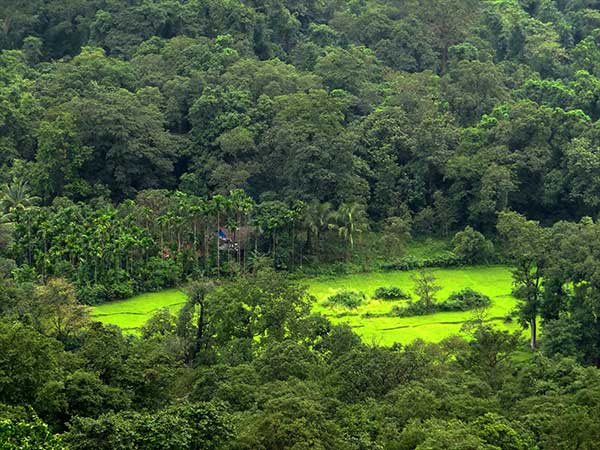 ഗോവ