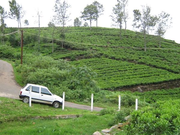 കോട്ടഗിരി
