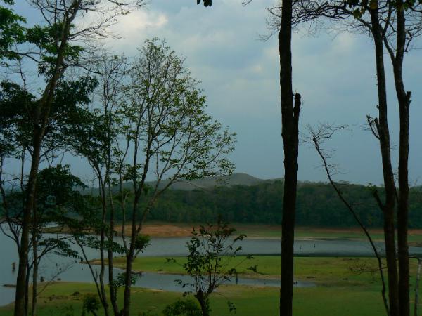കടുംനിറത്തിലുള്ള വസ്ത്രങ്ങള് ഒഴിവാക്കുക