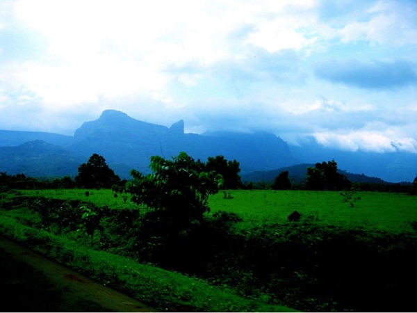 ഏതു തരത്തിലുള്ള സഞ്ചാരികള്ക്കും
