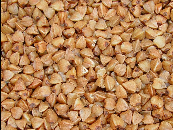 3000 കിലോ ധാന്യം