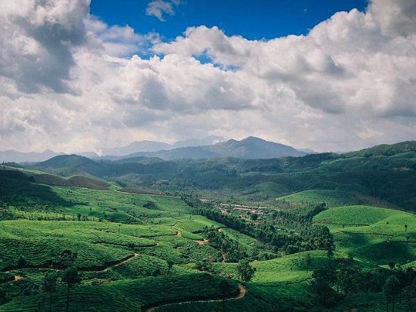 സൂര്യനെല്ലി