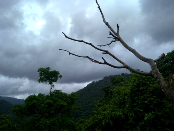 തെന്മല