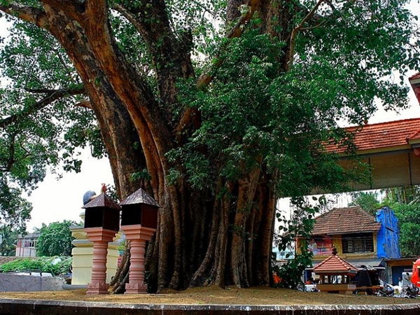 ഉത്സവങ്ങള്