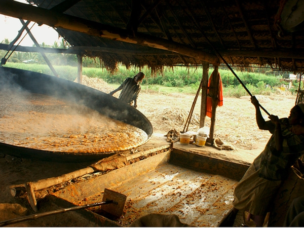 മറയൂര് ശര്ക്കര
