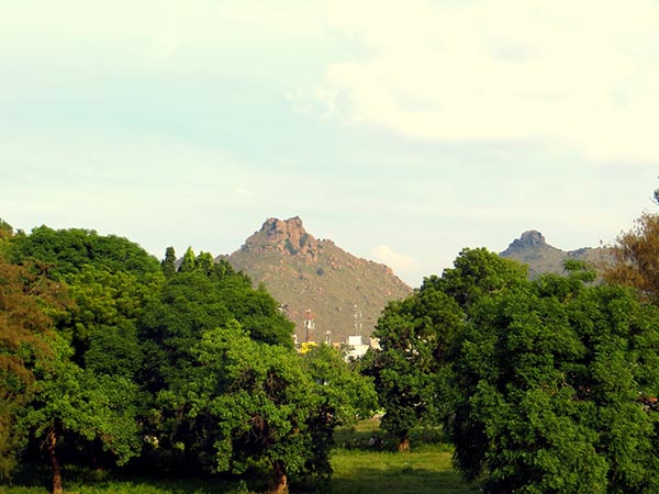 വെളളൂർ