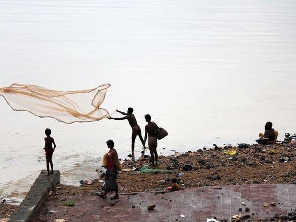 ഒരു തരി പൊന്നിന്റെ വില