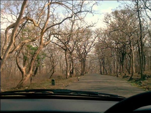 സത്യമംഗലം വൈല്ഡ് ലൈഫ് സാങ്ച്വറി