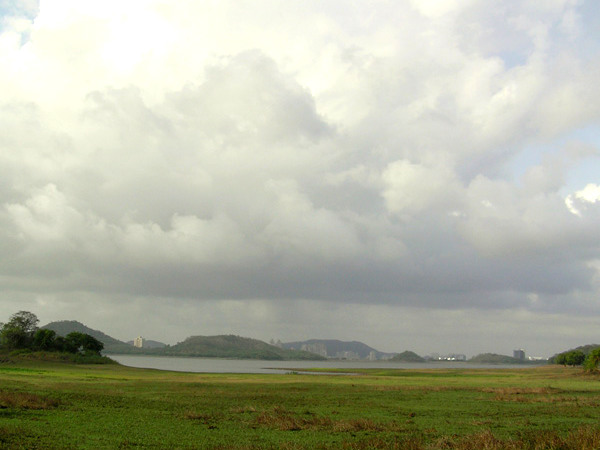 വിഹാർ തടാകം