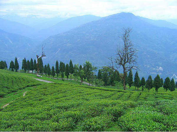 രാവംഗ്ലാ