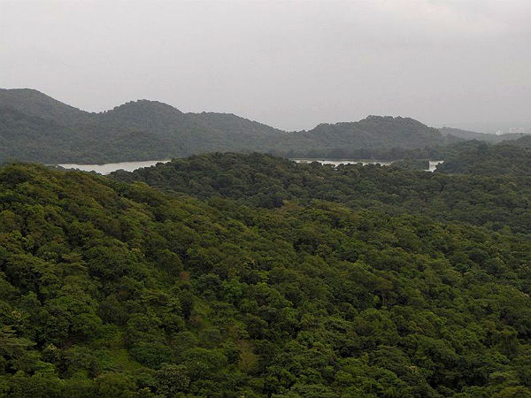 തുളസി തടാകം