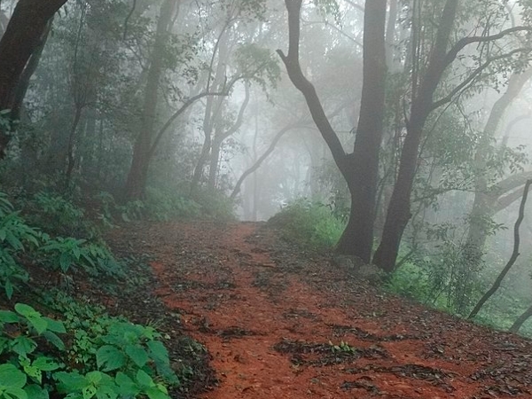 എന്തുകൊണ്ട് വാഹനങ്ങള് ഇല്ല
