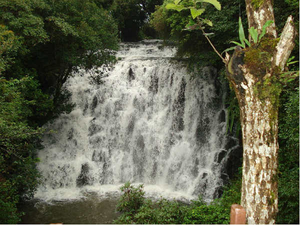 എലിഫെന്റ് വെള്ളച്ചാട്ടം