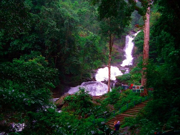 കാടിനകത്തെ വെള്ളച്ചാട്ടം