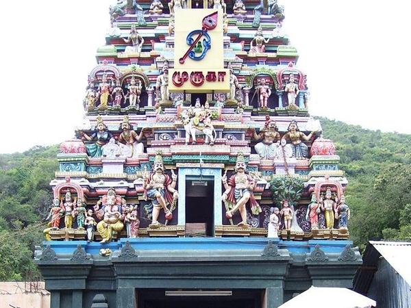 ഉത്സവം