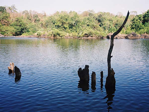 ദൻഡേലി
