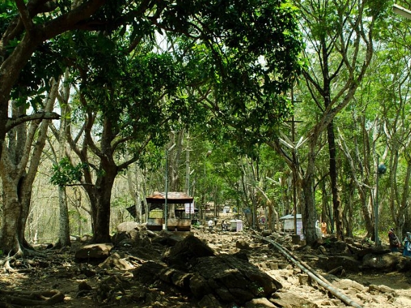 മലയാറ്റൂര്