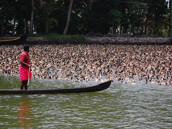 കാഴ്ചകള്