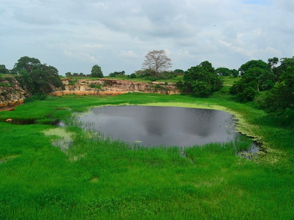 കോട്ടയുടെ സവിശേഷതകള്