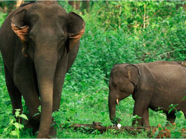 അടുത്തുള്ള സ്ഥലങ്ങള്