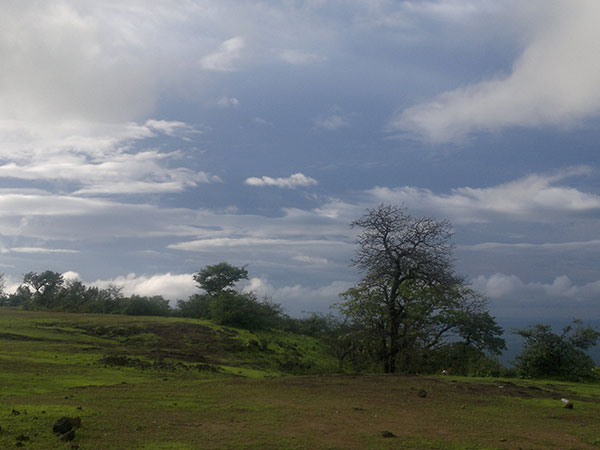 അന്തിമ ഉദ്ദിഷ്ടസ്ഥാനം - സപുതാര