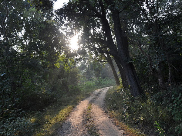 ജിം കോര്ബറ്റ് നാഷണല് പാര്ക്ക്