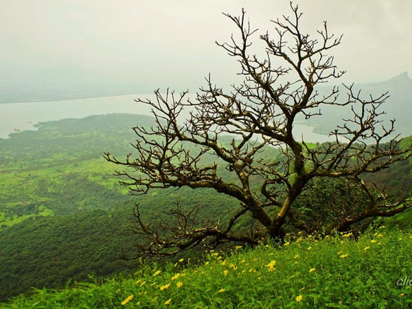 പിഷര്നാഥ് മഹാദേവ ക്ഷേത്രം