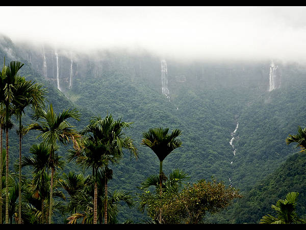 ഏഴ് സഹോദരിമാർ !