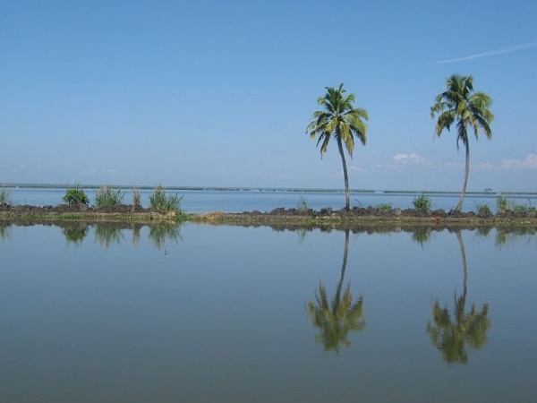 തുടക്കം ആലപ്പുഴയിൽ നിന്നും