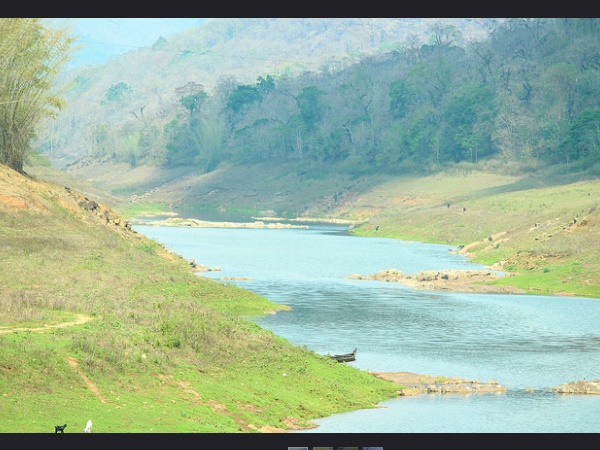 മിടുക്കിയായ ഇടുക്കി