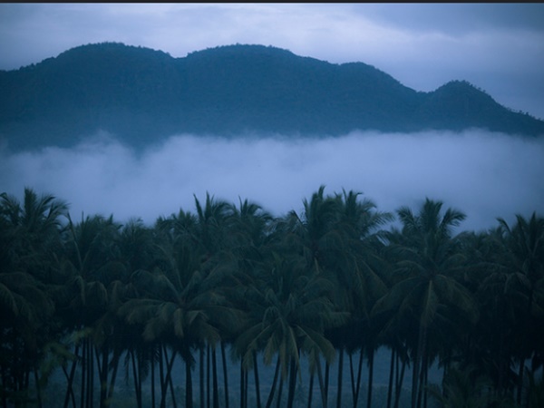 പ്രകൃതി ഭംഗി