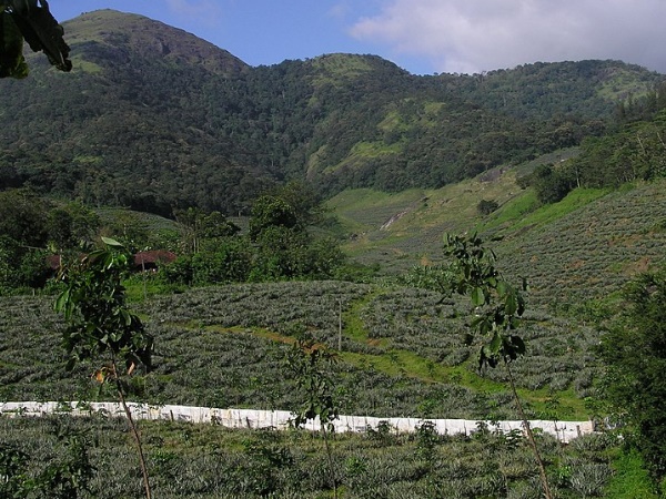 പേരുവന്ന വഴി