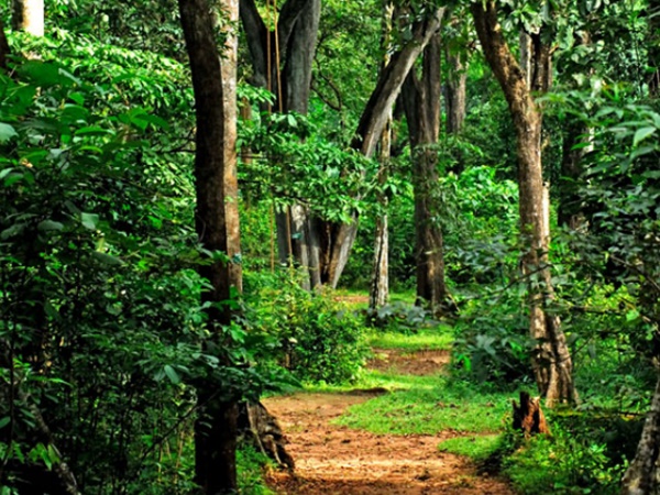 എല്ലാം സ്ത്രീകൾ