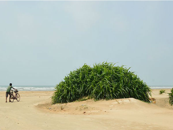 അന്തിമ ലക്ഷ്യസ്ഥാനം - താജ്പൂർ