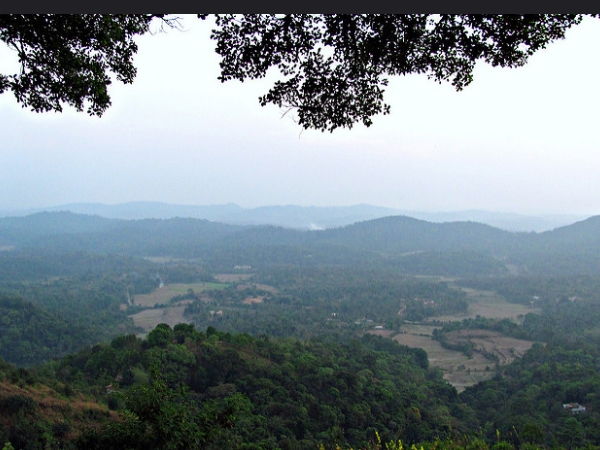 രാജാസീറ്റ്