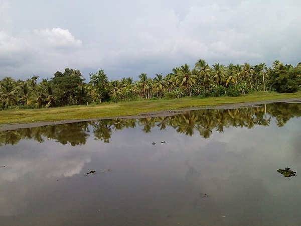 വൈക്കം
