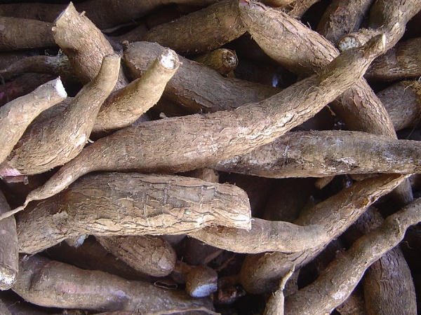 നാടൻരുചികൾ