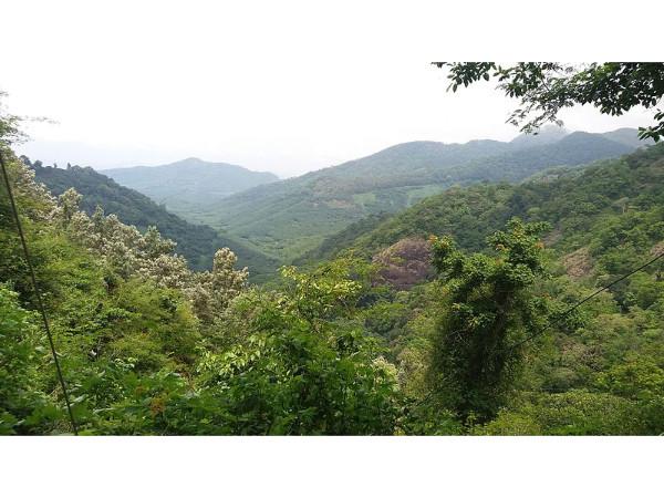 കുടമുട്ടി വെള്ളച്ചാട്ടം