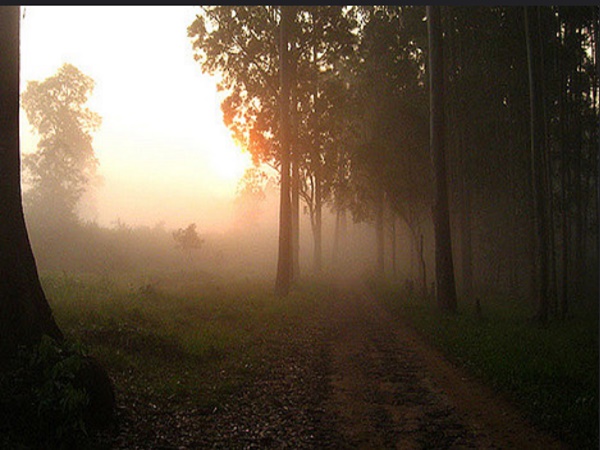 രാവിലെ ഏഴിന്