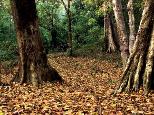 അരിപ്പ